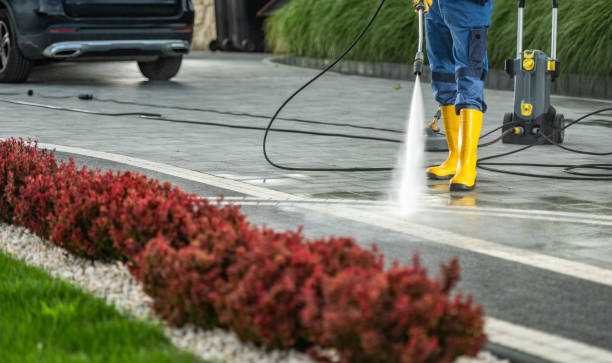 Walthourville, GA Pressure Washing Services Company